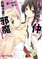 王子と女騎士の仲をお姫さまが邪魔をする b522apdm00660のパッケージ画像 王子と女騎士の仲をお姫さまが邪魔をする b522apdm00660のパッケージ画像