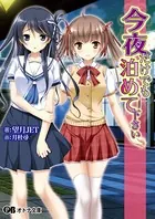 今夜だけでも泊めて下さい