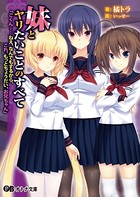 妹とヤリたいことのすべて 「ごくん……ねえ、なんでもするから、これ、もっとちょうだい、お兄ちゃん」 b522apdm00756のパッケージ画像