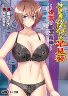 オトリ捜査官・早見葵 〜復讐の痴●電車〜 b522apdm01169のパッケージ画像 オトリ捜査官・早見葵 〜復讐の痴●電車〜 b522apdm01169のパッケージ画像