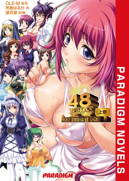 おっぱいの王者48 上巻