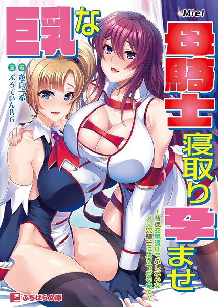 巨乳な母騎士寝取り孕ませ 〜背徳交尾漬けでふしだらなメス穴騎士に成り下がるまで〜