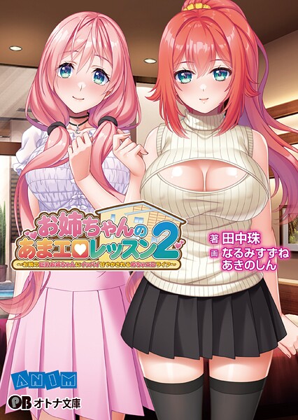 お姉ちゃんのあまエロレッスン2 〜お隣の巨乳お姉ちゃんにイッパイ甘やかされるめちゃエロライフ〜