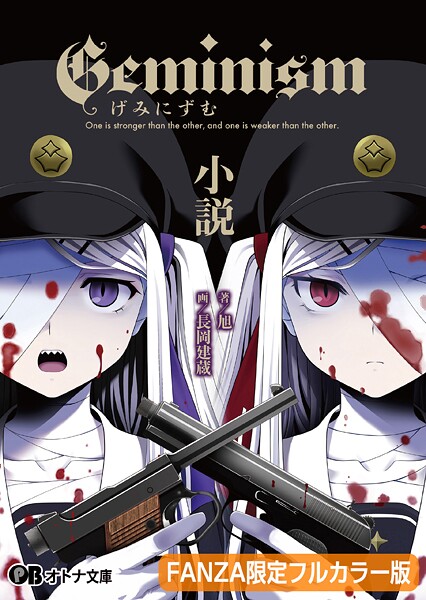 Geminism 〜げみにずむ〜 小説