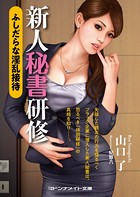 新人秘書研修 ふしだらな淫乱接待 b552amdsa00724のパッケージ画像 新人秘書研修 ふしだらな淫乱接待 b552amdsa00724のパッケージ画像