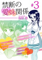 禁断の愛妹関係 b570bmgfc02251のパッケージ画像 禁断の愛妹関係 b570bmgfc02251のパッケージ画像