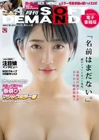 月刊ソフト・オン・デマンド 5月号 VOL.8【電子書籍版】
