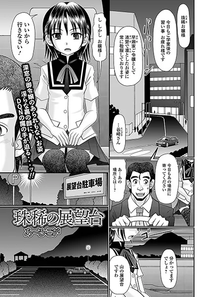 珠稀の展望台