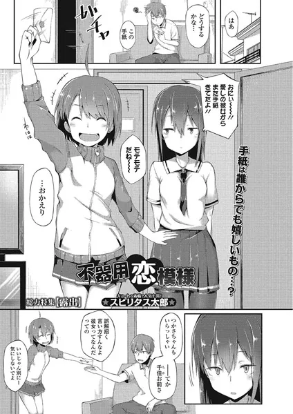 不器用恋模様