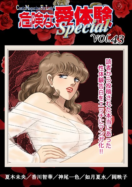 危険な愛体験special 43の表紙