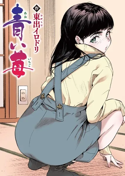 b915awnmg01532 表紙