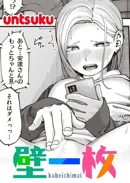 壁一枚