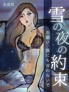 雪の夜の約束 お願い、誰にも言わないで b965armbk00015のパッケージ画像 雪の夜の約束 お願い、誰にも言わないで b965armbk00015のパッケージ画像