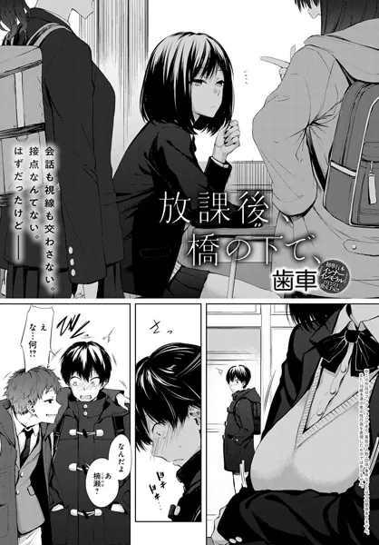 dmmmg_1663 表紙