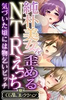 純朴美女を歪めるNTRえっち 〜気づいた頃には物乞いビッチ〜【CG集コレクション】