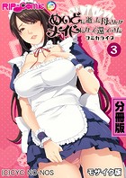 めいどに逝った母さんがメイドになって還ってきた コミカライズ 分冊版（3） モザイク版