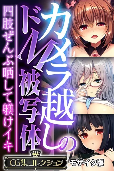 カメラ越しのドM被写体 〜四肢ぜんぶ晒して躾けイキ〜【CG集コレクション】 モザイク版