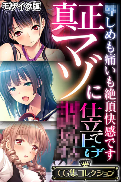 真正マゾに仕立て上げ●● 〜●しめも痛いも絶頂快感です〜【CG集コレクション】 モザイク版
