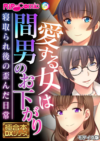 愛する女は間男のお下がり 〜寝取られ後の歪んだ日常〜【極合本DXシリーズ】 モザイク版