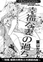 幸福な妻の過ち(単話) k837asani00379のパッケージ画像 幸福な妻の過ち(単話) k837asani00379のパッケージ画像
