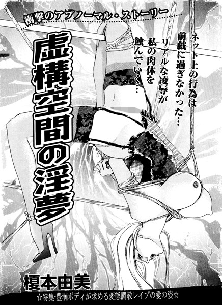 虚構空間の淫夢 k837asani00548のパッケージ画像
