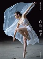 藤かんな写真集 白鳥、翔ぶ