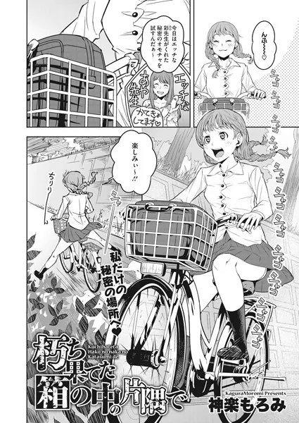 朽ち果てた箱の中の片隅で