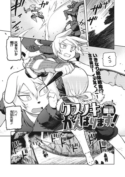 クスノキ、がんばります！