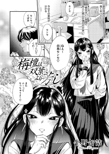 s011akamj02599 表紙
