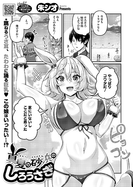 真夏の砂浜のしろうさぎ【朱シオ】