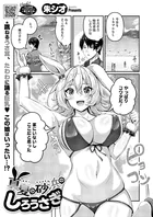 真夏の砂浜のしろうさぎ