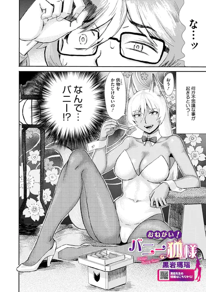 s011akamj02870 表紙