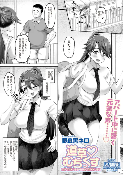 s011akamj03013 表紙