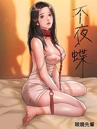 不夜蝶1